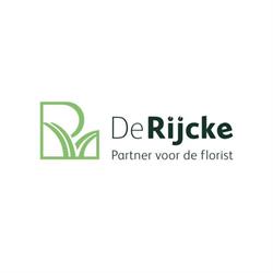 De Rycke, Wetteren openingstijden