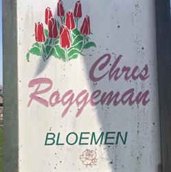 Roggeman/Chris, Lochristi openingstijden