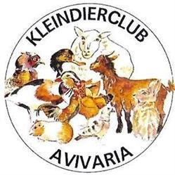 Avivaria vzw, Hasselt openingstijden