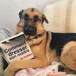 De Caluwaert/Philippe, La Louvière openingstijden