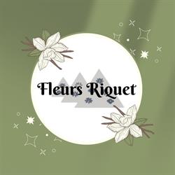 Fleurs Riquet, Pont-à-Celles openingstijden