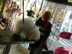 Comme Chien Et Chat, Waver openingstijden