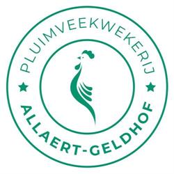 Allaert-Geldhof C., Ingelmunster openingstijden