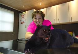 Goethals/Griet, Ursel openingstijden
