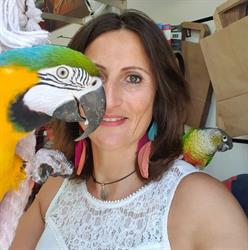 L Animal rit, Oudergem openingstijden