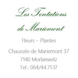 Tentations De Mariemont, Morlanwelz openingstijden