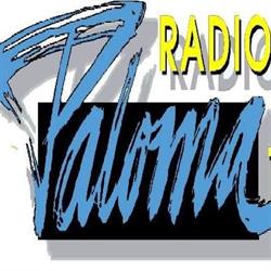 Radio Paloma vzw, Ravels openingstijden