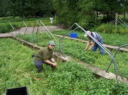 Cressiculture Lievens, Jurbise openingstijden