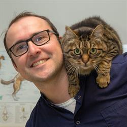 Dierenarts Demasure, Poperinge openingstijden