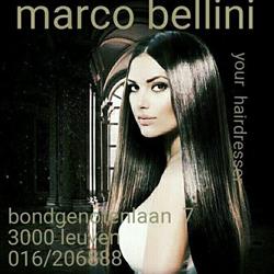 Marco Bellini, Leuven openingstijden