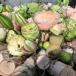 Jardin de Crespières (Le), Ottignies openingstijden