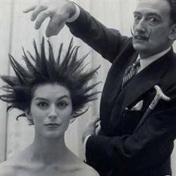 Coiffure Dali, Zedelgem openingstijden