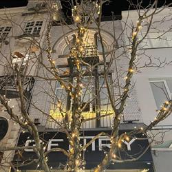 Gentry, Mechelen openingstijden