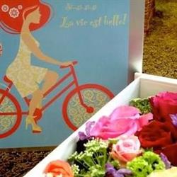 Poppymood, Sint-Lambrechts-Woluwe openingstijden