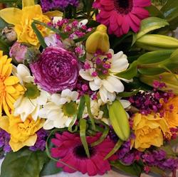 Fleurs de Nine (Aux), Hermée openingstijden