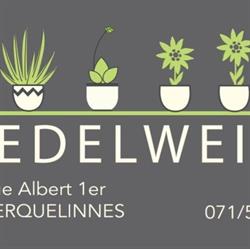 Edelweiss, Erquelinnes openingstijden