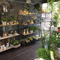 Bloemenatelier Chafleur, Bredene openingstijden