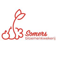 Bloemenkwekerij Somers, Bekkevoort openingstijden