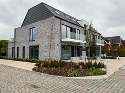Esthedent B.b.v.b.a., Sint-Katelijne-Waver openingstijden