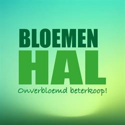 Bloemenhal Sint-Truiden, openingstijden