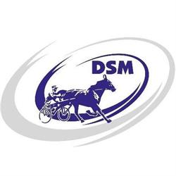 Dsm Trotting, Desselgem openingstijden