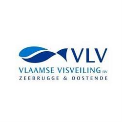 Vlaamse Visveiling N.v., Zeebrugge openingstijden
