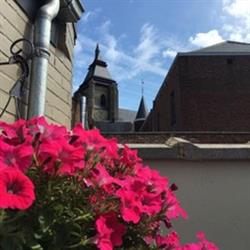 La Brace, Zinnik openingstijden