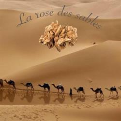 La Rose Des Sables, Doornik openingstijden