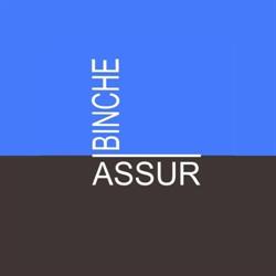 Binche Assurances-Binche Immo S.p.r.l., openingstijden