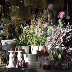 L'atelier Fleuri S.p.r.l., Genepiën openingstijden