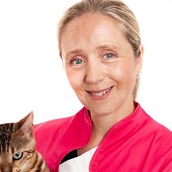 Dr Desmet Isabelle, Vétérinaire VetNam Namur Ville - Jambes - Bouge Namen - openingstijden