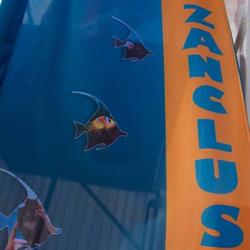 Plongee Sous-Marine (Ecole Le Zanclus), Bergen openingstijden