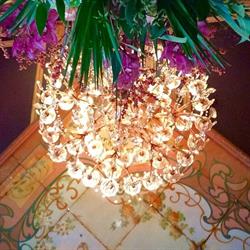 La Buca di Bacco Schaerbeek Schaarbeek - openingstijden