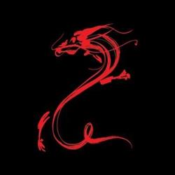Oriental Bvba, Bornem openingstijden