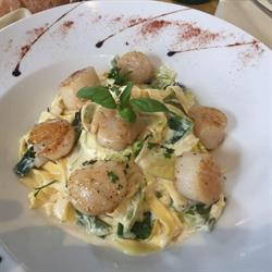 Piazzetta, Dour openingstijden