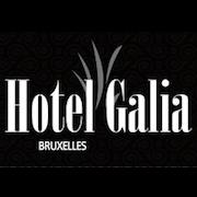 Hotel Galia Marolles - Breughel Brussel - openingstijden