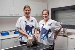 Vets & Pets, Righetti & Philipsen Bvba, Kontich openingstijden