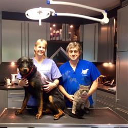 Dierenartsenpraktijk Oudenbos, Rillaar openingstijden