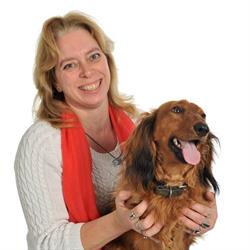De Schrijver Annick Alost - Ninove Erembodegem - openingstijden