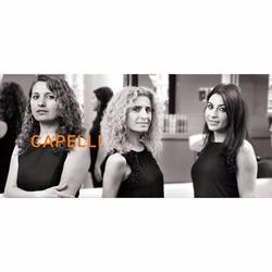 Capelli Bvba Anvers Centre-Ville Antwerpen - openingstijden