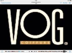 Vog, Moeskroen openingstijden