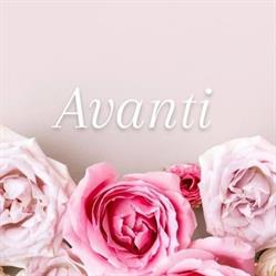 Avanti Coiffure, Wijtschate openingstijden