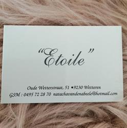 Etoile, Wetteren openingstijden