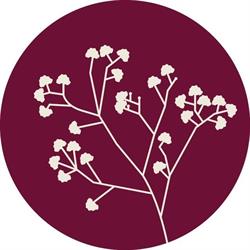 Bloemenorchid, Asse openingstijden