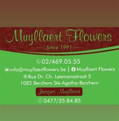 Muyllaert Flowers, Sint-Agatha-Berchem openingstijden
