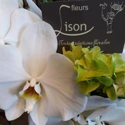 Lison (Fleurs), Epinois openingstijden