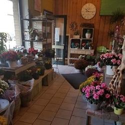 Bloemenhuisje (Het), Grimbergen openingstijden