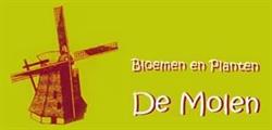 Bloemen de Molen Bvba, Hamme openingstijden