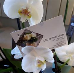 't Bloementuiltje, Hasselt openingstijden