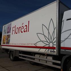 Vandevondel R.Floréal sprl, Doornik openingstijden